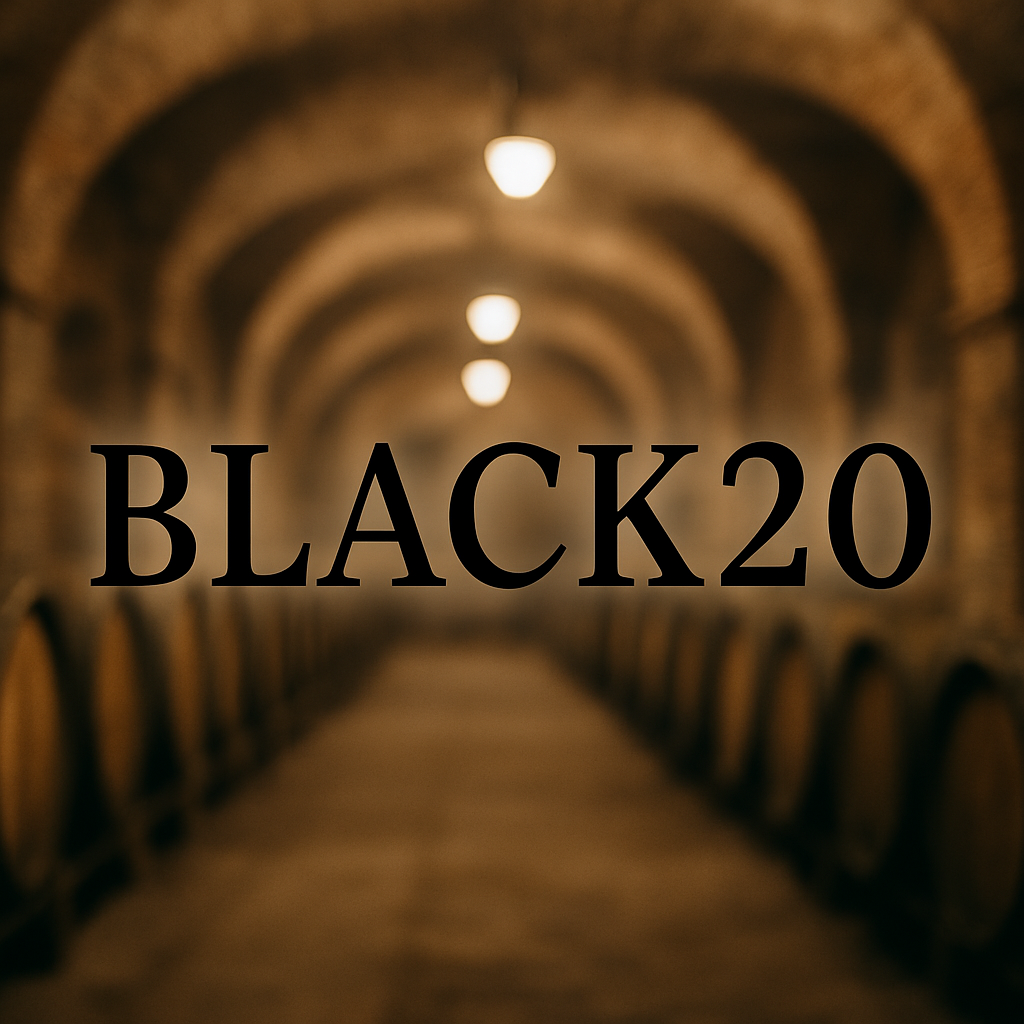 Black Friday Angebot